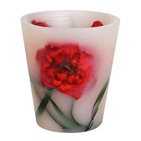 �J�b�Z���L�����h�� �E���g���O���E(�ی^) ���[�Y