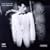 Lyle Lovett and His Large Band