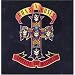 Appetite for Destruction