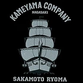�ʎ��G�{�� �T�R�В��T�R�V�b�v/SV �V���o�[ KAME-02B