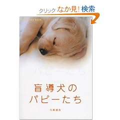 �ӓ����̃p�s�[���� (�V���ɕ���)