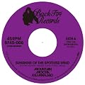 Sunshine of the Spotless Mind c/w K.I.T.T. - KNIGHT RIDER MAIN TITLE (DJ UPPERCUT REMIX) [7 inch Analog]