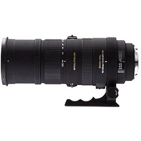 APO 150-500mm F5-6.3 DG OS HSM �\�j�[�p