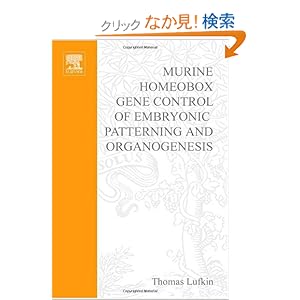 【クリックでお店のこの商品のページへ】Murine Homeobox Gene Control of Embryonic Patterning and Organogenesis, Volume 13 (Advances in Developmental Biology): T. Lufkin: 洋書