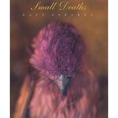 Small Deaths: Photographs (Wittliff Gallery Series)