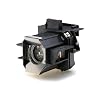 EPSON �v���W�F�N�^�[�����p�����v ELPLP39 (EMP-TW1000/EMP-TW700�p)