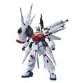 1/100 �j�N�X�v�����B�f���X�K���_�� (�@����m�K���_��SEED DESTINY)