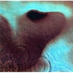 Meddle