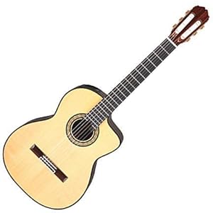 【クリックで詳細表示】Takamine DMP370NC N エレガット： 楽器