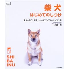 �Č��͂��߂Ă̂����\���������S!�ʐ^�ł킩��r�W���A���E���b�X���� (f.i.t.books)