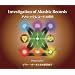 Invesitigation of Akashic Records �A�J�V�b�N���R�[�h�̒T��