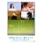 �u���E�̒��S�ŁA���������ԁv �񑾘Y�ƃA�L�̋L���̔� [DVD]