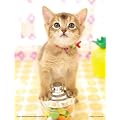 �W�O�\�[�p�Y�� �v�`2 500�X���[���s�[�X ����A���ׂĂ���? 41-56 (16.5cm�~21.5cm�A�Ή��p�l��:�v�`2��p)
