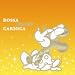 BOSSA DISNEY CARIOCA