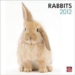 Rabbits 2012 Calendar