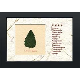 Herb mini ART/�n�[�u�~�j�A�[�g�sLemono balm�t�z�t�����C���e���A�Ǌ|���ʔ́�