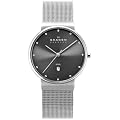 [�X�J�[�Q��]SKAGEN �r���v basic steel mens 355LSSM �P�[�X��: 34mm �����Y [���K�A���i]