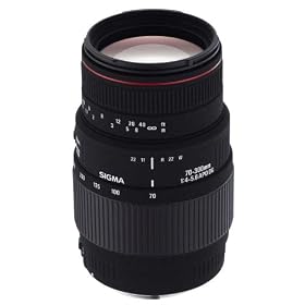 �V�O�} APO 70-300mm F4-5.6 DG MACRO