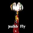 Fly(��������)(DVD�t)