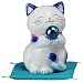 �J�^�u�a�C�񕜁v �n�b�s�[�L���b�g �� �u���[ SAN605