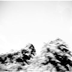 Pictures