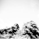 Pictures