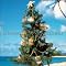����������Jazzy�ȕ��͋C�őI�� Christmas Song ���W�I