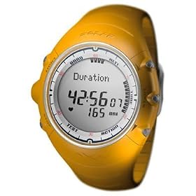 POLAR(�|���[��) �A�E�g�h�A���� �n�[�g���[�g���j�^�[ �C�G���[ POLAR AXN300