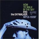 HOW TO WALK IN