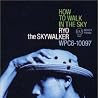 RYO THE SKYWALKERのアルバムの画像