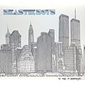 �g�D�E�U�E5�{���[�Y / TO THE 5 BOROUGHS (CCCD)
