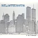 �g�D�E�U�E5�{���[�Y / TO THE 5 BOROUGHS (CCCD)