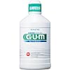 GUM�f���^�������X500ML ���M�����[