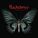 Black Butterfly