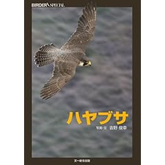 �n���u�T (BIRDER SPECIAL)