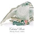 Celestial Beats selected by Kenichiro Nishihara