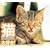�L�A��D��!�L���b�c�E�r�[�E�n�b�s�[! [DVD]