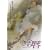 �����ȐO [DVD]