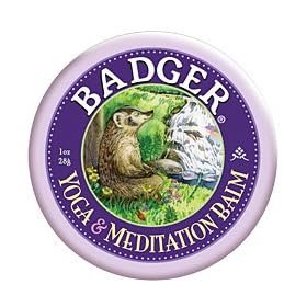 BADGER�i�o�W���[�j�}�C���h�o�[�� ���K�����f�B�e�[�V����