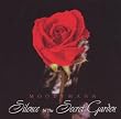 Silence in the Secret Garden
