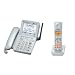 Panasonic �f�W�^���R�[�h���X�d�b�@ �V���o�[ �q�@1��^�C�v VE-GP62DL-S