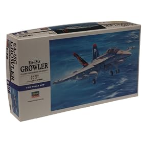 1/72 EA-18G �O���E���[ (E38)
