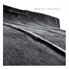 【クリックで詳細表示】End of Trying [Analog] [Import， from US]