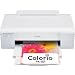 EPSON Colorio �C���N�W�F�b�g�v�����^ 4�F�痿�C���N PX-101