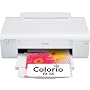 EPSON Colorio �C���N�W�F�b�g�v�����^ 4�F�痿�C���N PX-101
