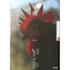 �{ (NHK���̚�)
