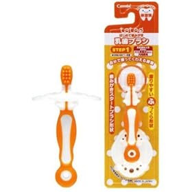 teteo �͂��߂Ď��݂��� �����u���V STEP1