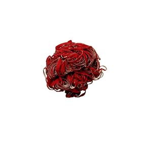 �z���킵�T���h�N���[��(����10��) ����(��) JTW11002