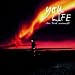 LIFE~the third movement~(��������)(DVD�t)