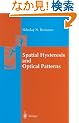 Spatial Hysteresis and Optical Patterns (Springer Series in Synergetics)
